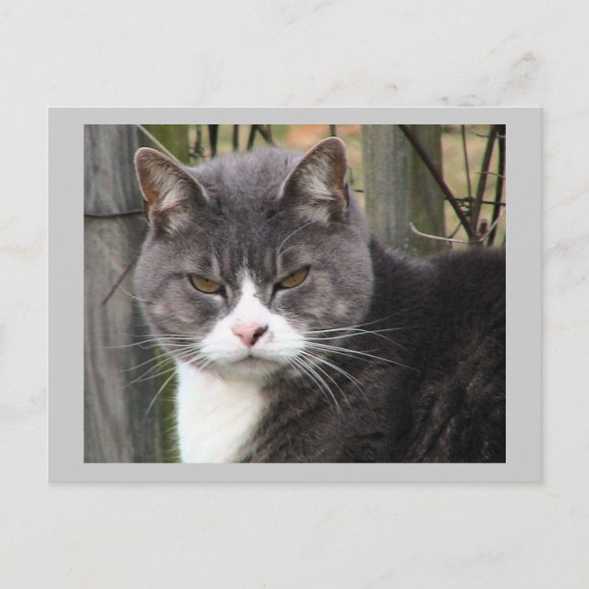 Carte postale (Devant)