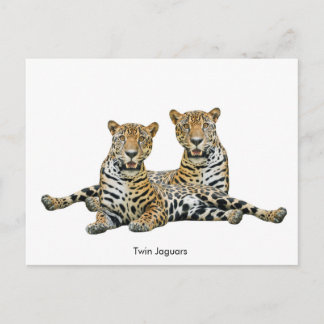 Carte postale