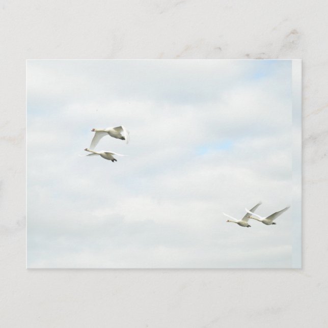 Carte postale (Devant)