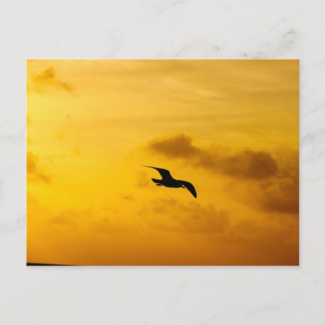Carte postale (Devant)