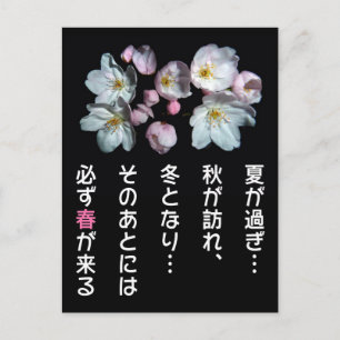 Carte Postale 募 金 用, Fleurs de cerisiers, 桜