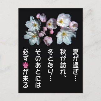 Carte Postale 募 金 用, Fleurs de cerisiers, 桜