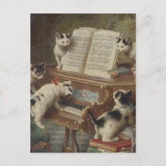 CARTE POSTALE 子 猫 と ノ