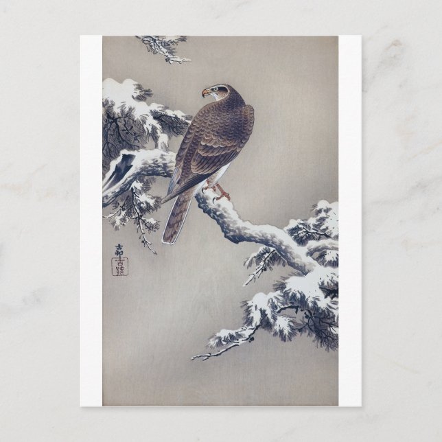Carte Postale 松 に 鷹, 古 邨 Hawk sur Pine tree, Ohara Koson, Coupe  (Devant)