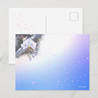 CARTE POSTALE 桜のシーズンポストカード