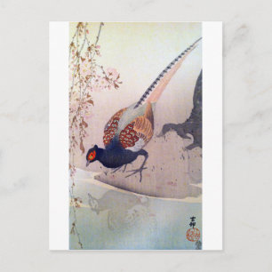 Carte Postale 桜 に キ ジ, 古 Fleurs de faisan et de cerisier, Ohara 