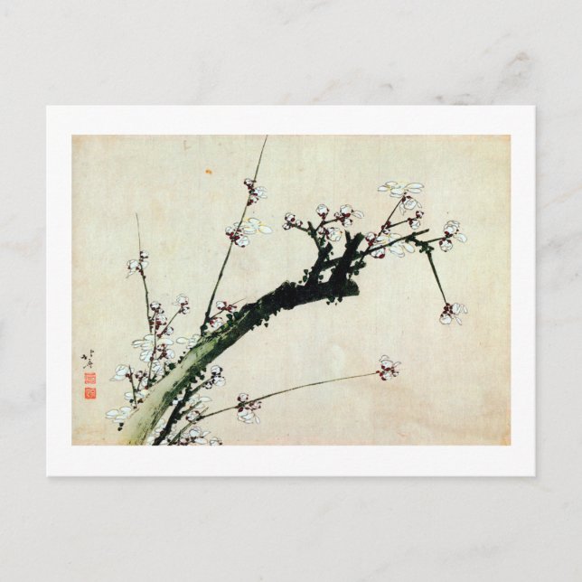 Carte Postale 梅 花, 北 Fleurs 斎 de prunes, Hokusai, Ukiyo-e (Devant)