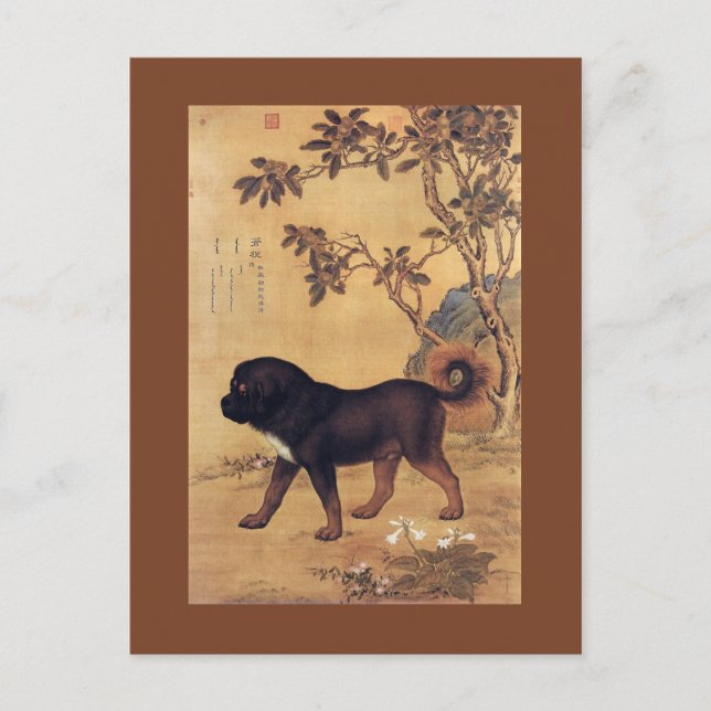 Carte Postale 猊 苍 Cangni ~ Mastiff Tibétain ~Giuseppe Castiglion (Devant)