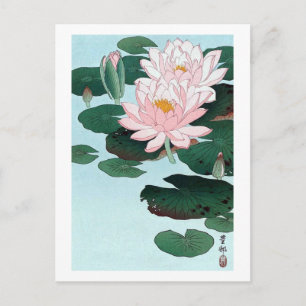 Carte Postale 睡 蓮, 古 邨 Lily, Koson, Ukiyo-e