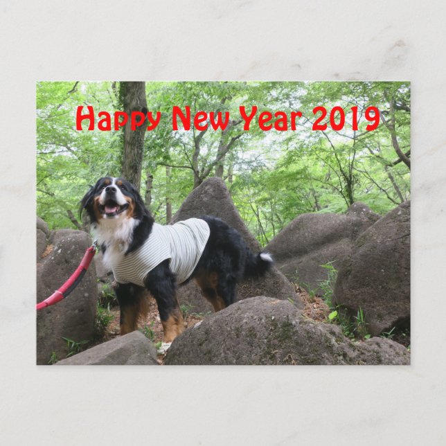 CARTE POSTALE 花 音2019年 賀 状 (Devant)