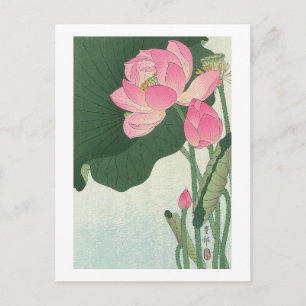 Carte Postale 蓮 の 花, 小 原 邨 fleur de Lotus, Ohara Koson, Ukiyo-e