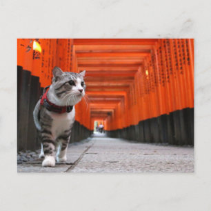 CARTE POSTALE 野 良 猫 ニ ャ 伏 見 ン 吉 稲