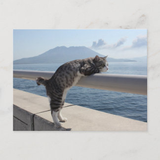 CARTE POSTALE 野 良 猫 ニ ャ 錦 江 ン 吉 湾 と