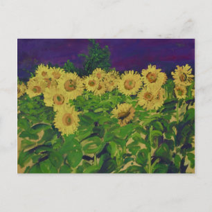 Carte Postale 0067 tournesols de le champ des