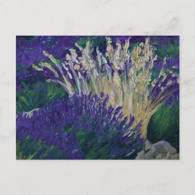 Carte Postale 0071-le champ de lavande (Devant)