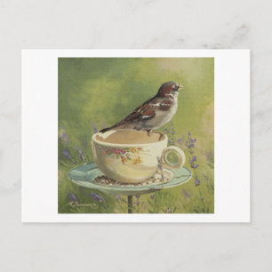 Carte postale 0470 Sparrow