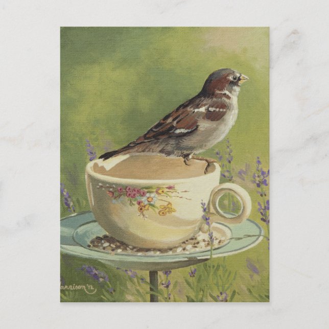 Carte postale 0470 Sparrow (Devant)