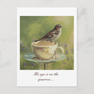 Carte postale 0470 Sparrow