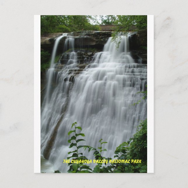 CARTE POSTALE 071809-314PC (Devant)