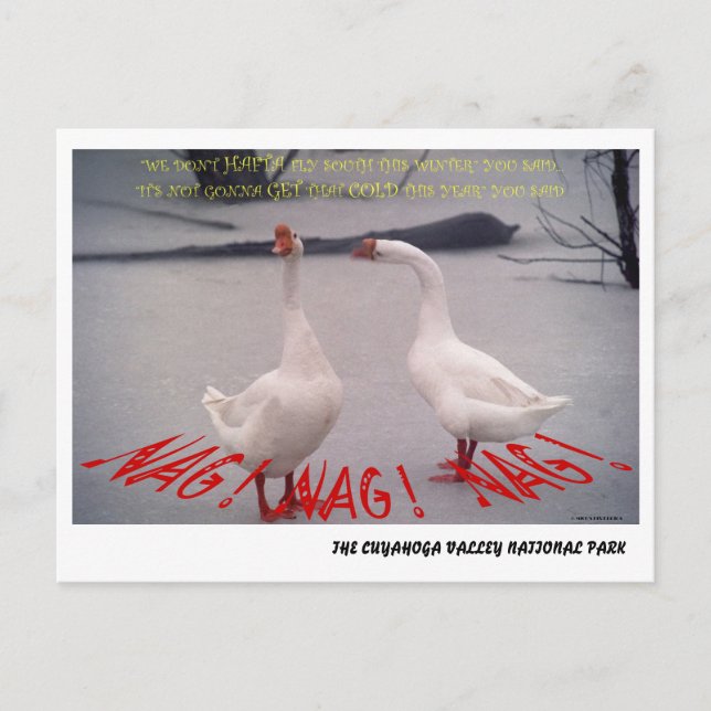 CARTE POSTALE 072506-10-APC NAG, NAG, NAG (Devant)