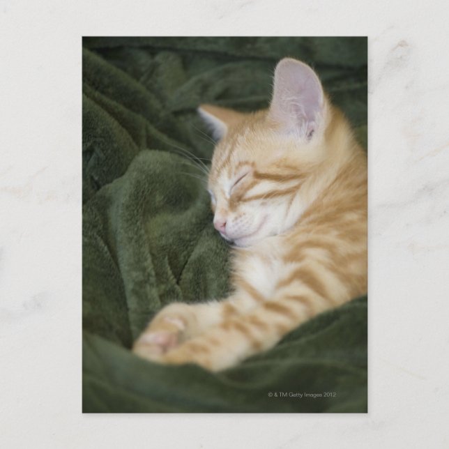 CARTE POSTALE 0 2 (Devant)