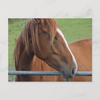 Carte postale 1