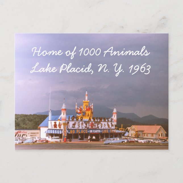 Carte postale 1000 Animaux Lake Placid (Devant)
