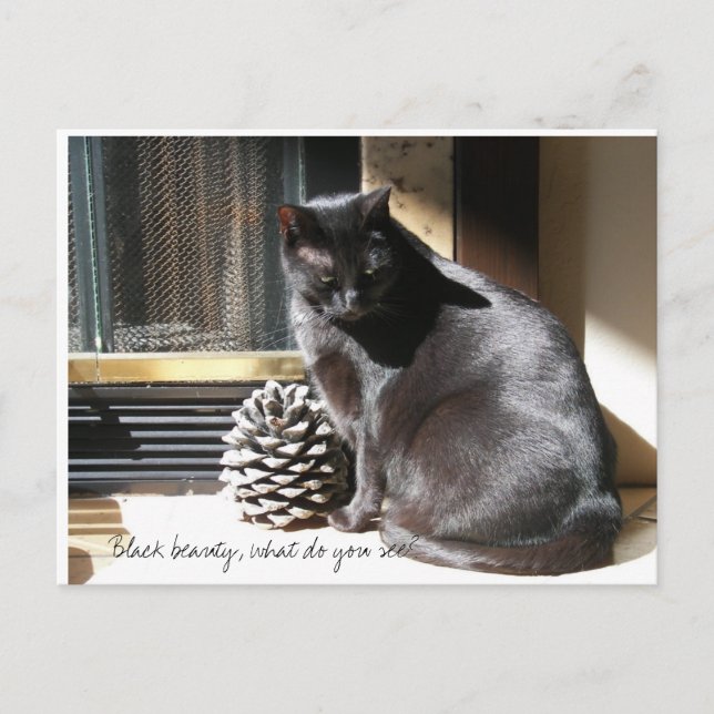 Carte Postale 100_0305, beauté noire, que voyez-vous ? (Devant)