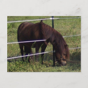 CARTE POSTALE 100_0375