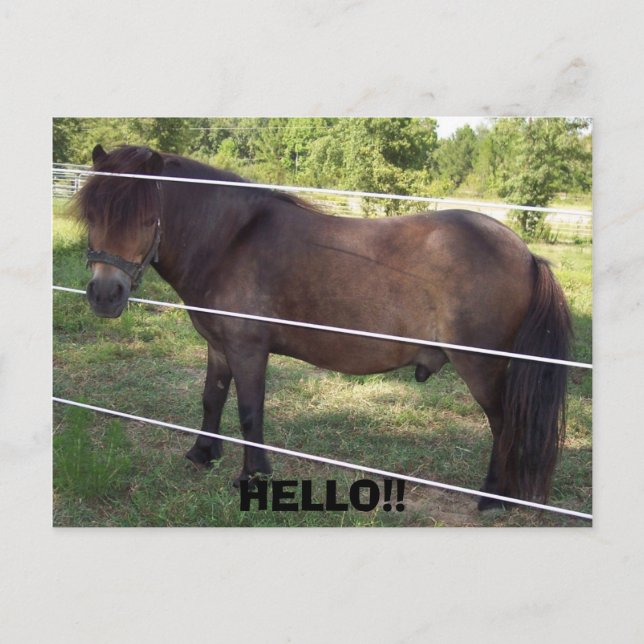 CARTE POSTALE 100_0376, BONJOUR ! ! (Devant)