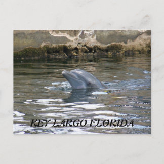 CARTE POSTALE 100_8578, FLORIDE KEY LARGO