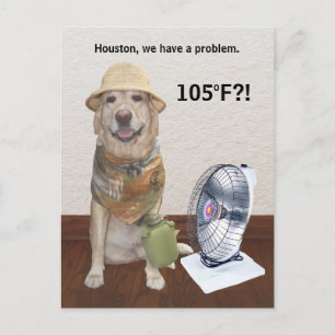 CARTE POSTALE 105 F ? !