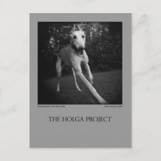 Carte postale 11 de parc de chien