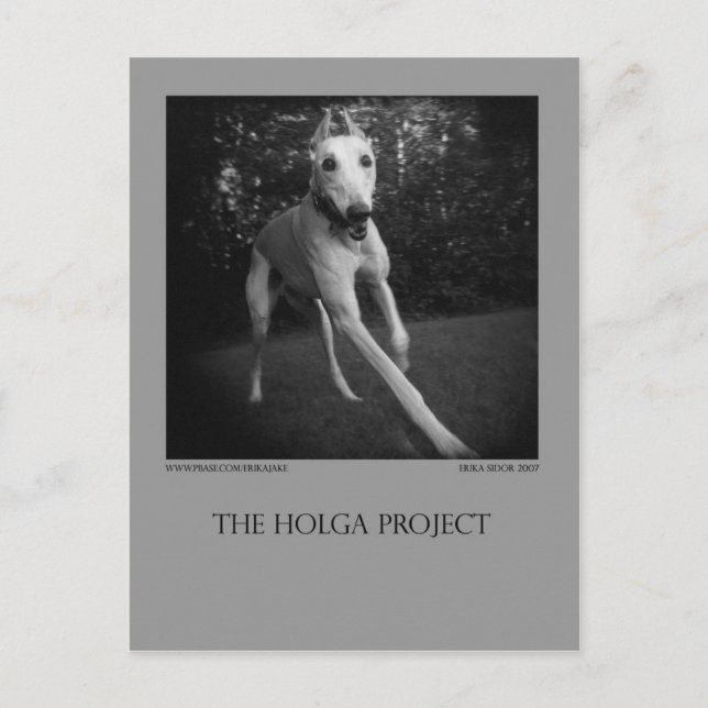 Carte postale 11 de parc de chien (Devant)