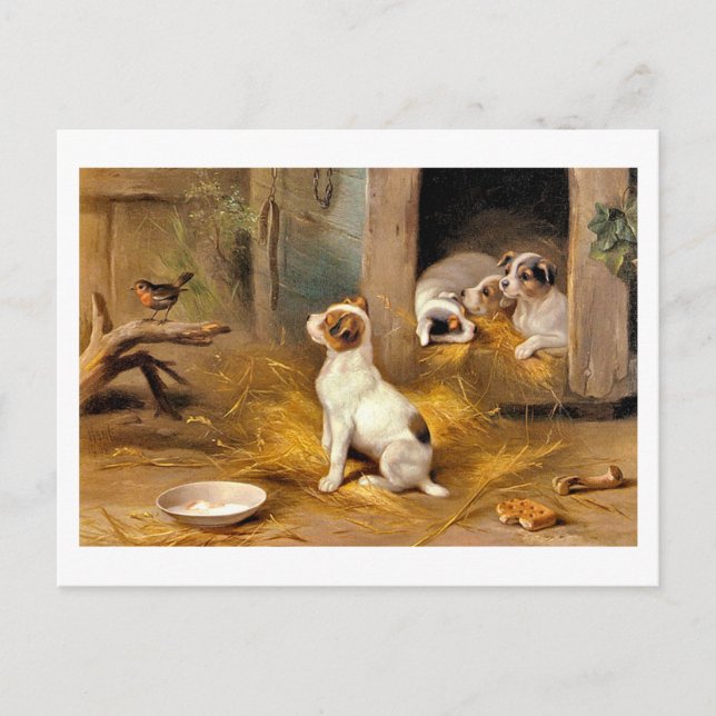 Carte Postale 13a Les Chiots (Devant)