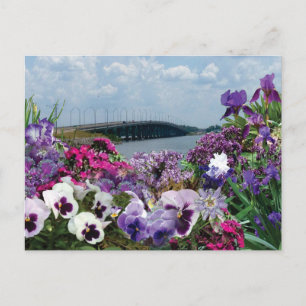 Carte postale 15r1 du pont de voilier et fleurs