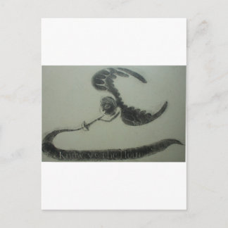 Carte Postale 1700s Angel Of Death American Grave Rubbing Design