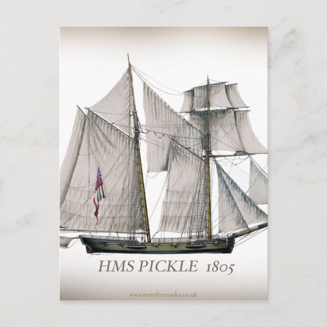 Carte Postale 1805 Pickle (Devant)