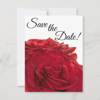 Carte Postale 1824-Roses rouges