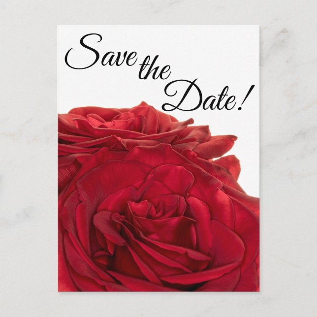 Carte Postale 1824-Roses rouges (Devant)