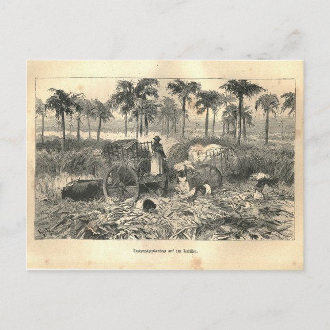 Carte Postale 1877 Imprimer Cuba Antilles, Terre et ses peuples (Devant)