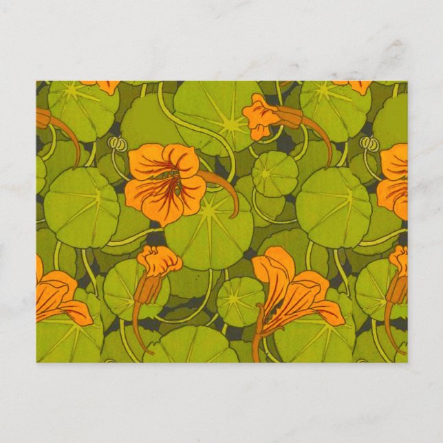 Carte Postale 1896 Victorian Nasturtium Floral (Devant)