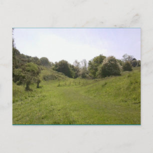 Carte postale 18 Grassy Valley Track
