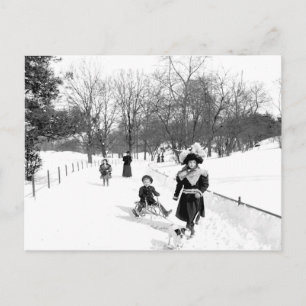 Carte postale 1900 Central Park NYC