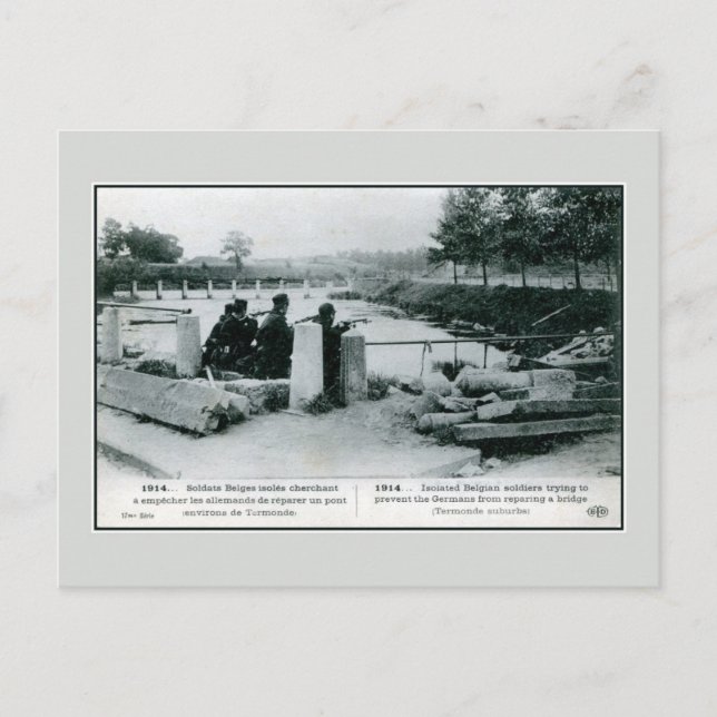 Carte Postale 1914 Soldats belges en défense près de Termonde (Devant)