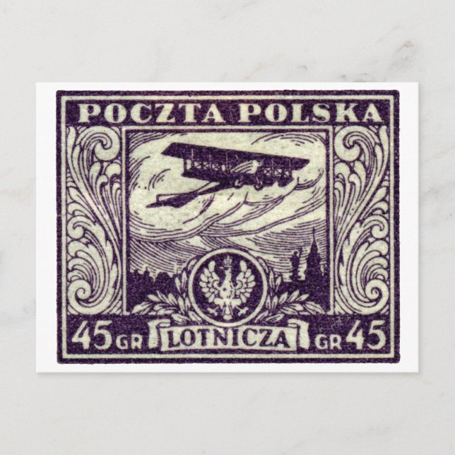 Carte Postale 1925 45gr Polonais Timbre d'avion (Devant)