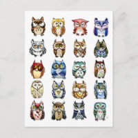 19 et 1 Chat et Chouettes