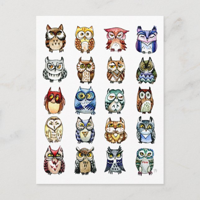Carte Postale 19 et 1 Chat et Chouettes (Devant)