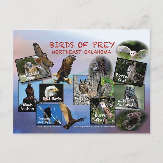 carte postale 19r de Prey Oklahoma (Devant)
