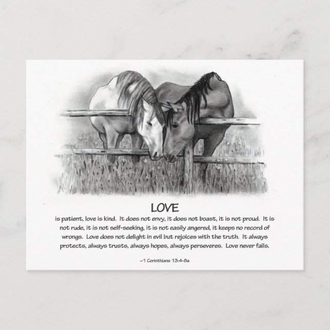 Carte Postale 1 Corinthiens 13 : Amour, Chevaux au crayon (Devant)
